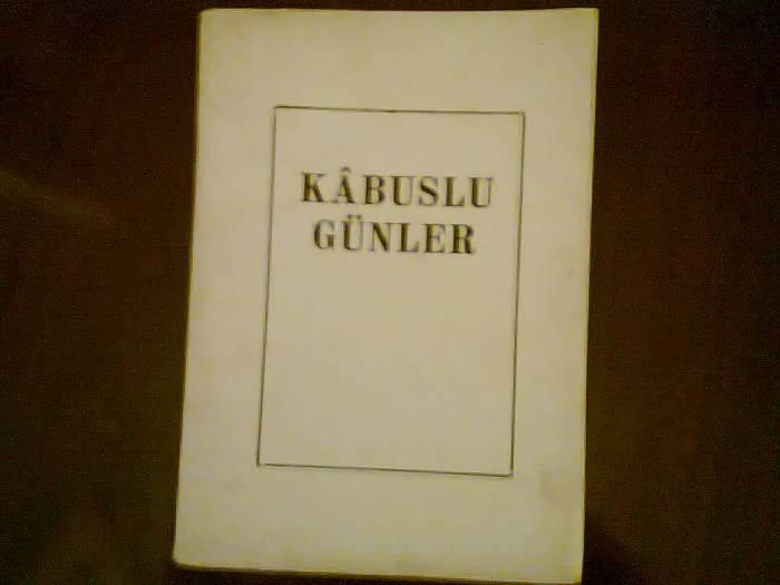 KABUSLU GÜNLER - SEYMOUR SHUBIN 1