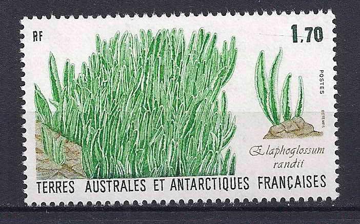 1988 Fransa Antartik Bölgesi Flora Damgasız** 1