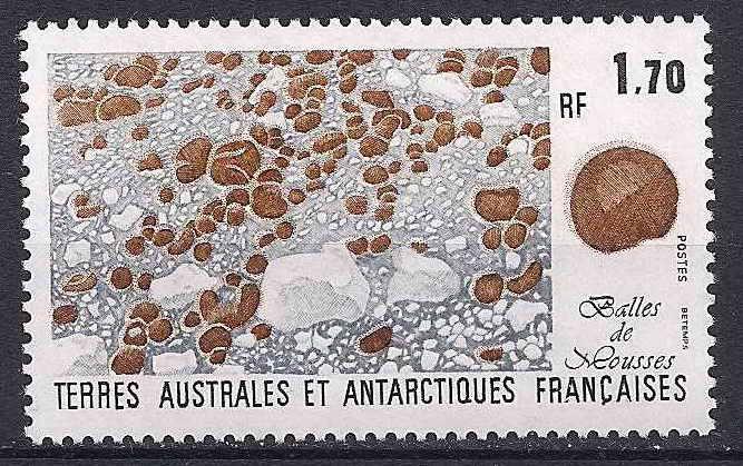 1991 Fransa Antartik Flora Damgasız** 1