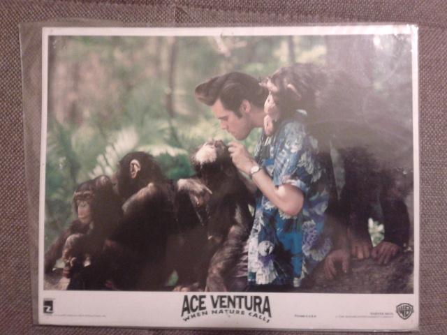 Ace Ventura When Nature Cales Sinema Lobi Kart 1