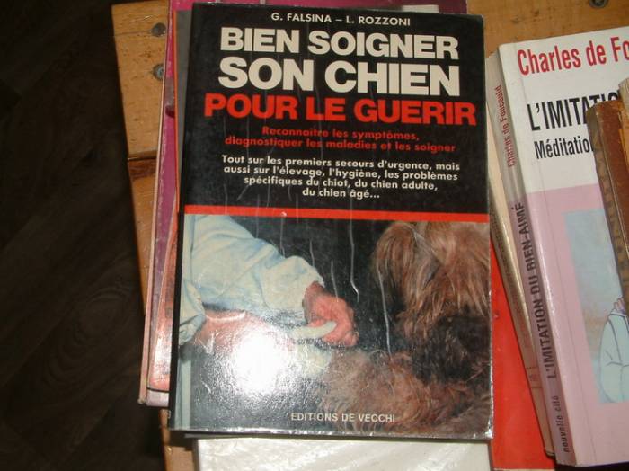 BIEN SOIGNER SON CHIEN-POUR LE GUERIR-1991 1
