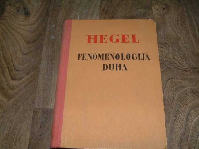 İLKS&FENOMENNOLOGIJA DUHA-HEGEL 1