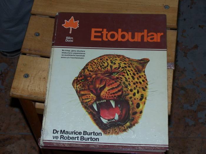 İLKSAHAF&ETOBURLAR-DR MAURICE BURTON-ROBERT BURT 1