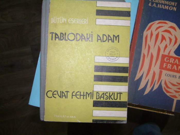 TABLODAKİ ADAM-CEVAT FEHMİ BAŞKUT-1972 1