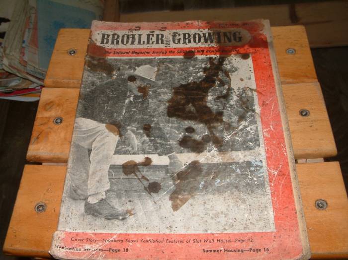 İLKSAHAF&BROILER GROWING-JULY 1956 1