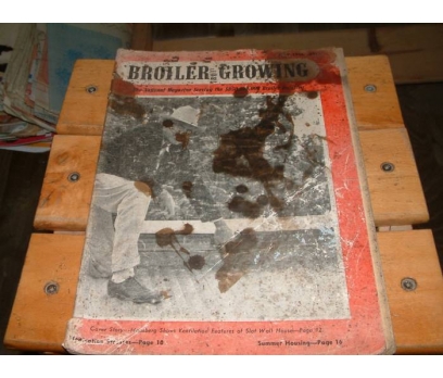 İLKSAHAF&BROILER GROWING-JULY 1956 1 2x