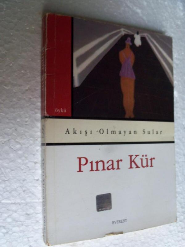AKIŞI OLMAYAN SULAR Pınar Kür 1