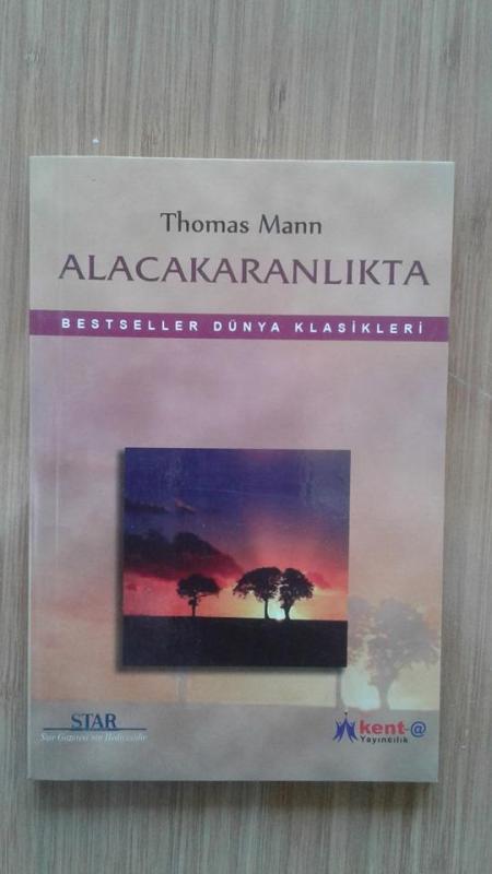 ALACAKARANLIKTA THOMAS MANN 1