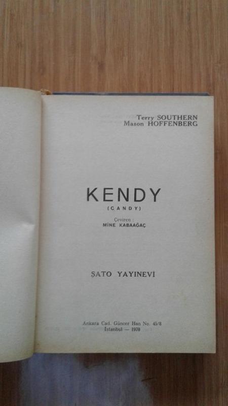 KENDY TERRY SOUTHERN - MASON HOFFENBERG 1