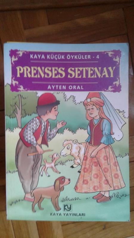 Prenses Setenay (Kaya Küçük Öyküler-4) Ayten Oral 1