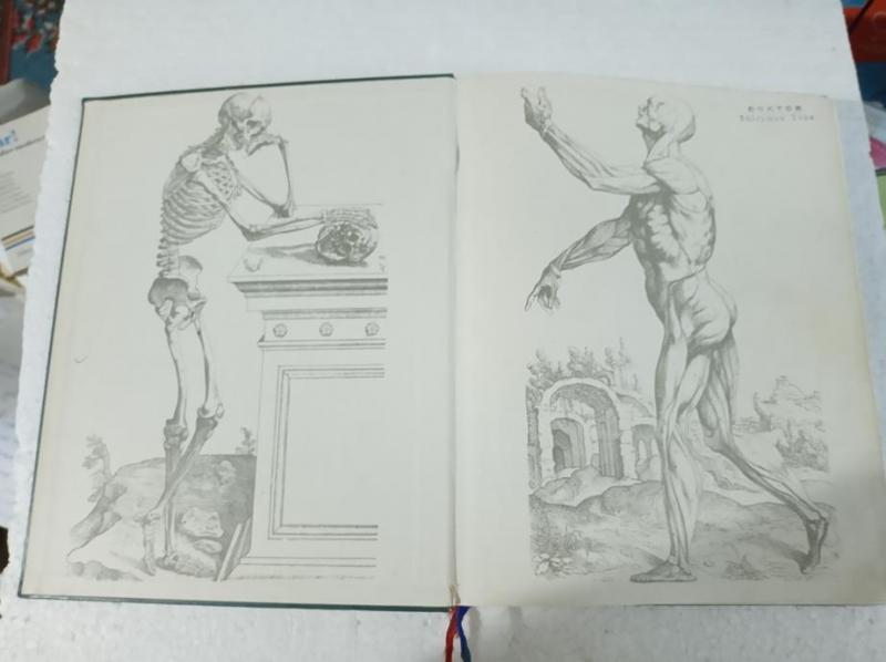 SOBOTTA BECHER Atlas der Anatomie des Menschen 1 C 2