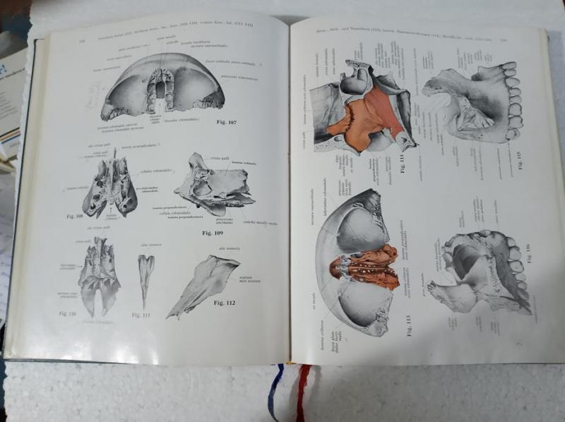 SOBOTTA BECHER Atlas der Anatomie des Menschen 1 C 4