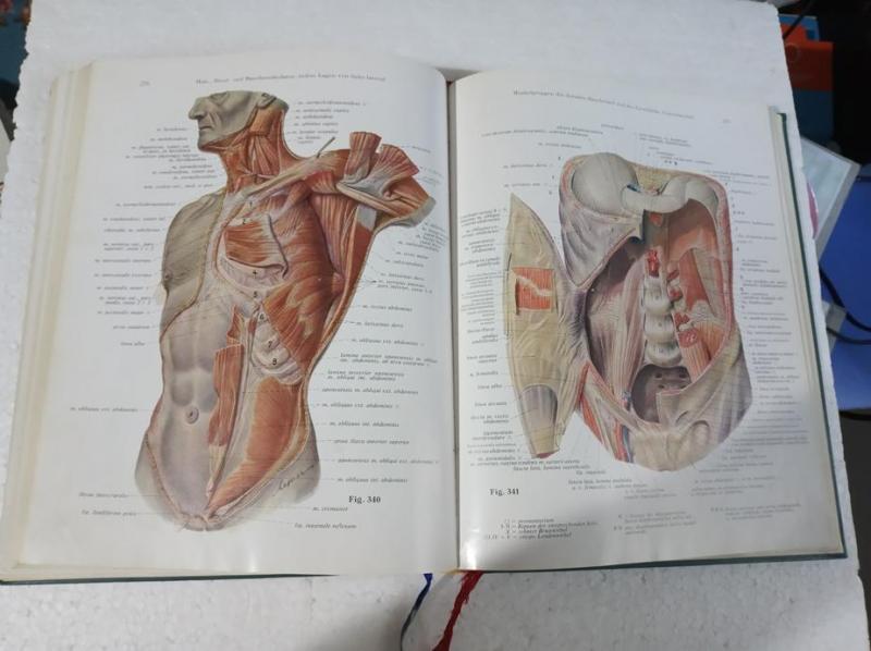 SOBOTTA BECHER Atlas der Anatomie des Menschen 1 C 5