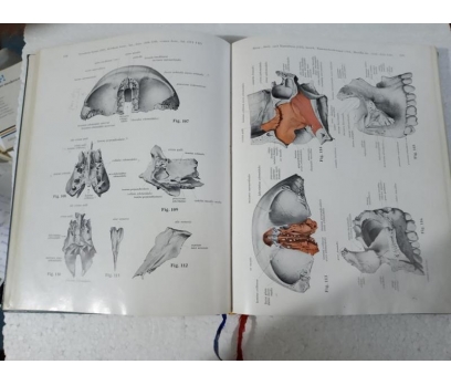 SOBOTTA BECHER Atlas der Anatomie des Menschen 1 C 4 2x