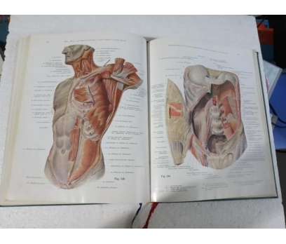 SOBOTTA BECHER Atlas der Anatomie des Menschen 1 C 5 2x