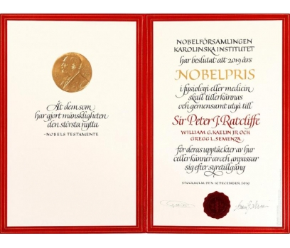 Özel Standında Nobel Barış Madalyonu Bronz 4 2x