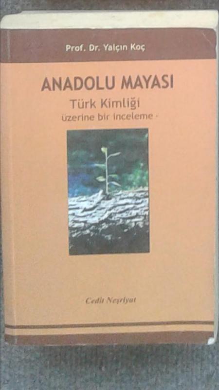 ANADOLU MAYASI Türk Kimliği Üzerine Bir İnceleme Y 1