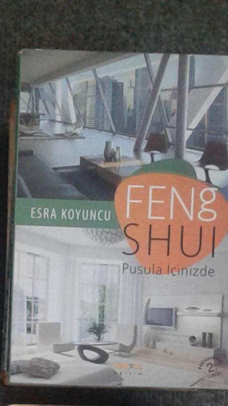 FENG SHUI - PUSULA İÇİNİZDE ESRA KOYUNCU 1