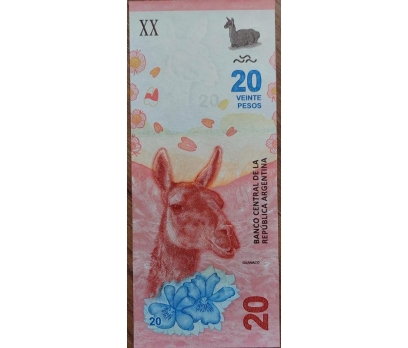 ARJANTİN 20 Pesos, (2020) ÇİL 1 2x