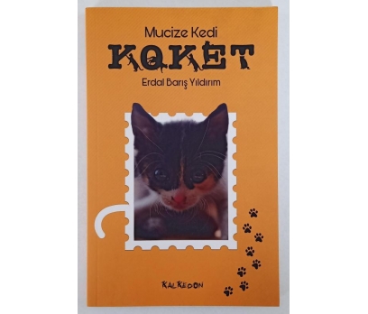 Mucize Kedi Koket - Erdal Barış Yıldırım